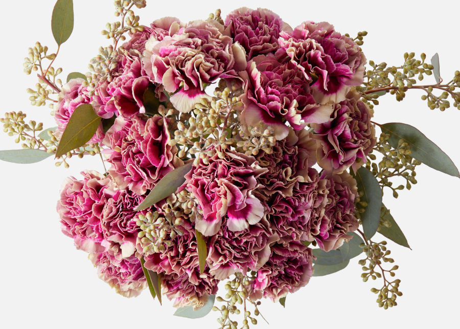 The Capricorn » Send Flower Bouquets UrbanStems Flower Delivery